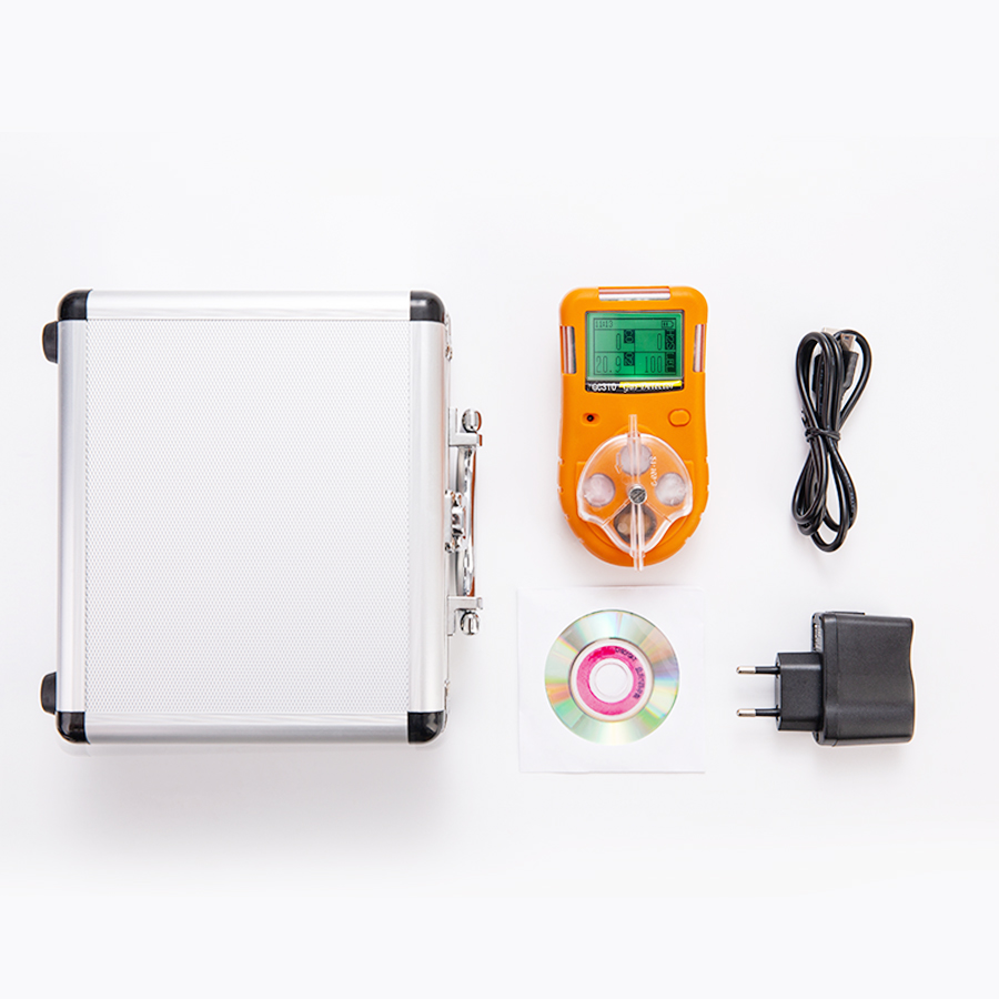 GC310復(fù)合式氣體檢測(cè)儀