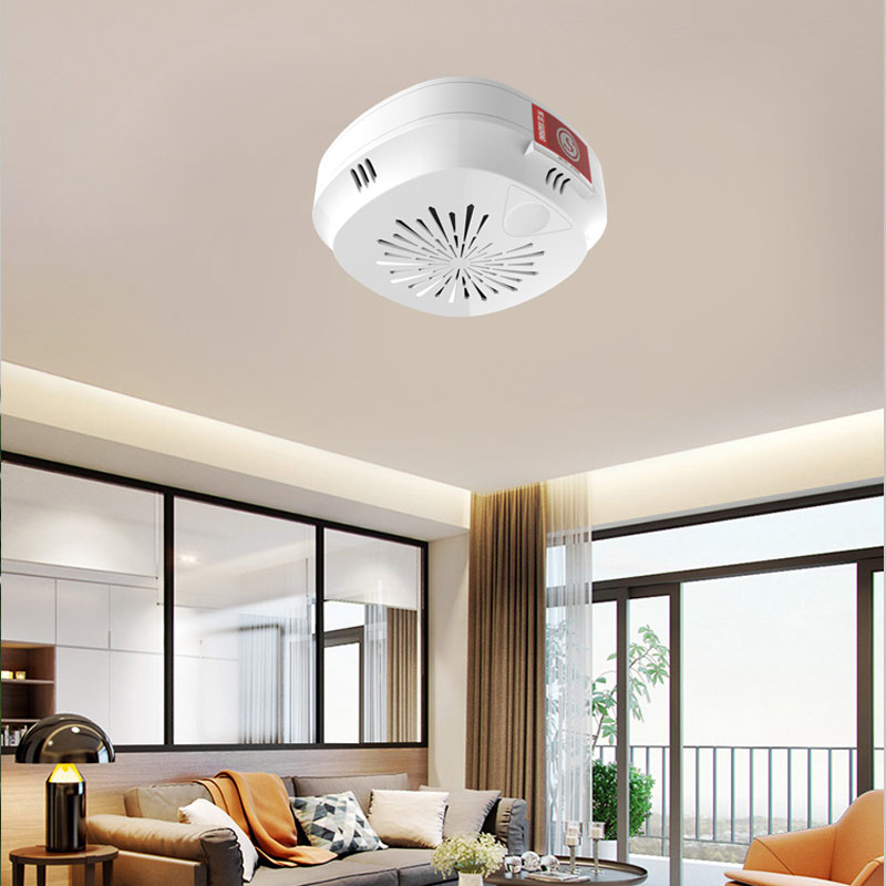 HD6000吸頂式可燃氣體檢測報警器