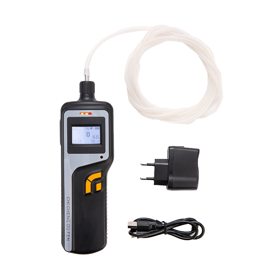 GC510探槍式name氣體檢測儀