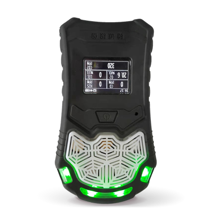 GC310復(fù)合式氣體檢測(cè)儀